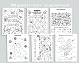 Custom Seasonal Nature Activity Packs (set of 4)