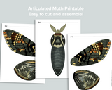 Articulated Moth