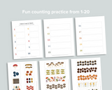 Nature 1-20 Count and Match Activity