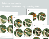 I Spy Bugs! Count and Match Activity