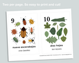 Nature Counting Cards (Spanish)
