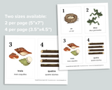 Nature Counting Cards (French)