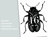 Beetle Number Cards 1-20