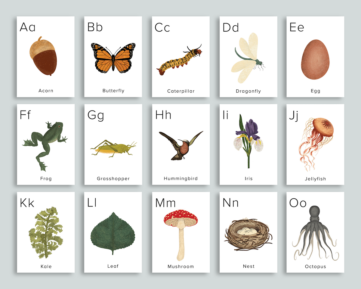 Nature Alphabet Flashcards Mornings Together