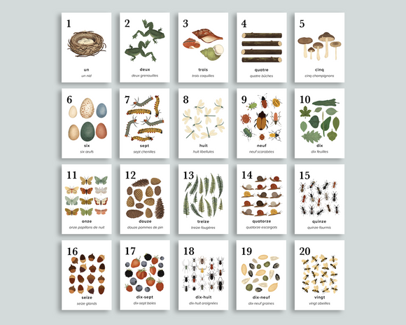 Nature Counting Cards (French)