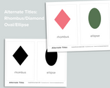 Toddler Flashcard Bundle