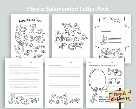 Salamander Letter Pack