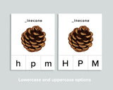 Beginning Sounds Clip Cards