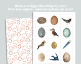 Egg Mini Bundle