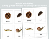Editable Nature Flashcards (Three Part Cards)