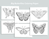 Butterfly Activity Pack