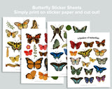 Butterfly Activity Pack