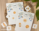 Honeybee Activity Pack