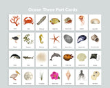 Ocean Activity Pack