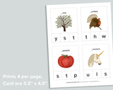 Beginning Sounds Clip Cards