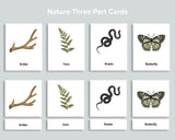Editable Nature Flashcards (Three Part Cards)
