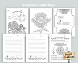 Seasonal Letter Pack Bundles