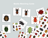 Beetle Matching Cards