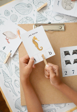 How to use Count and Clip Cards