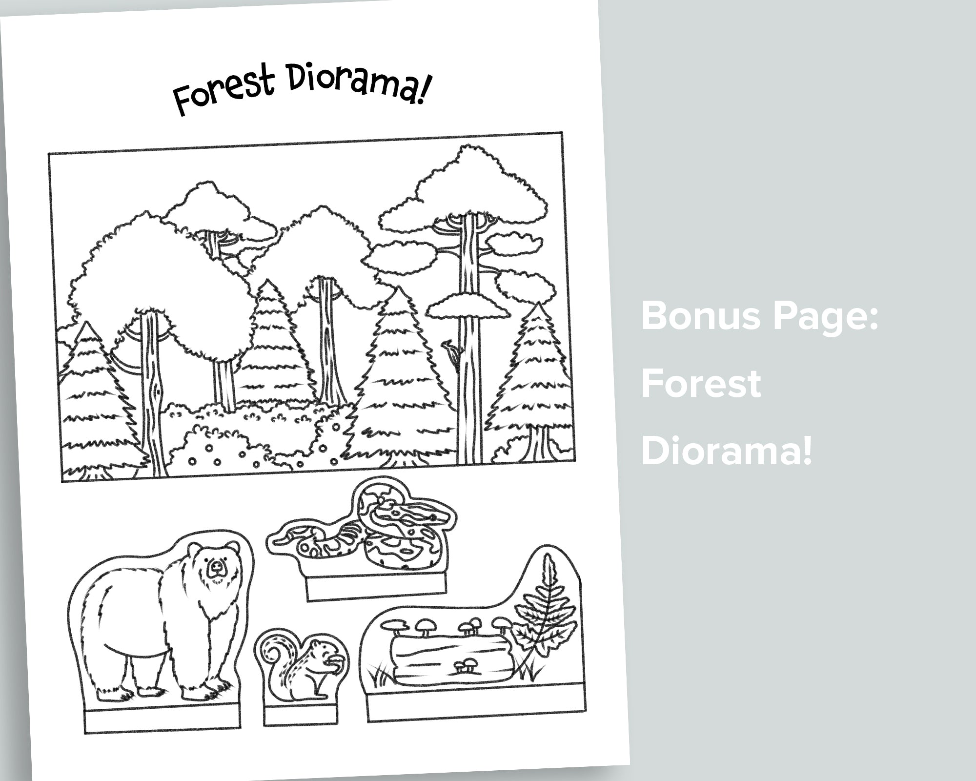 Ecosystem Explorers Letter Pack