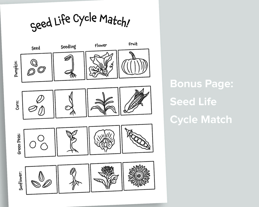 Searching for Seeds Letter Pack