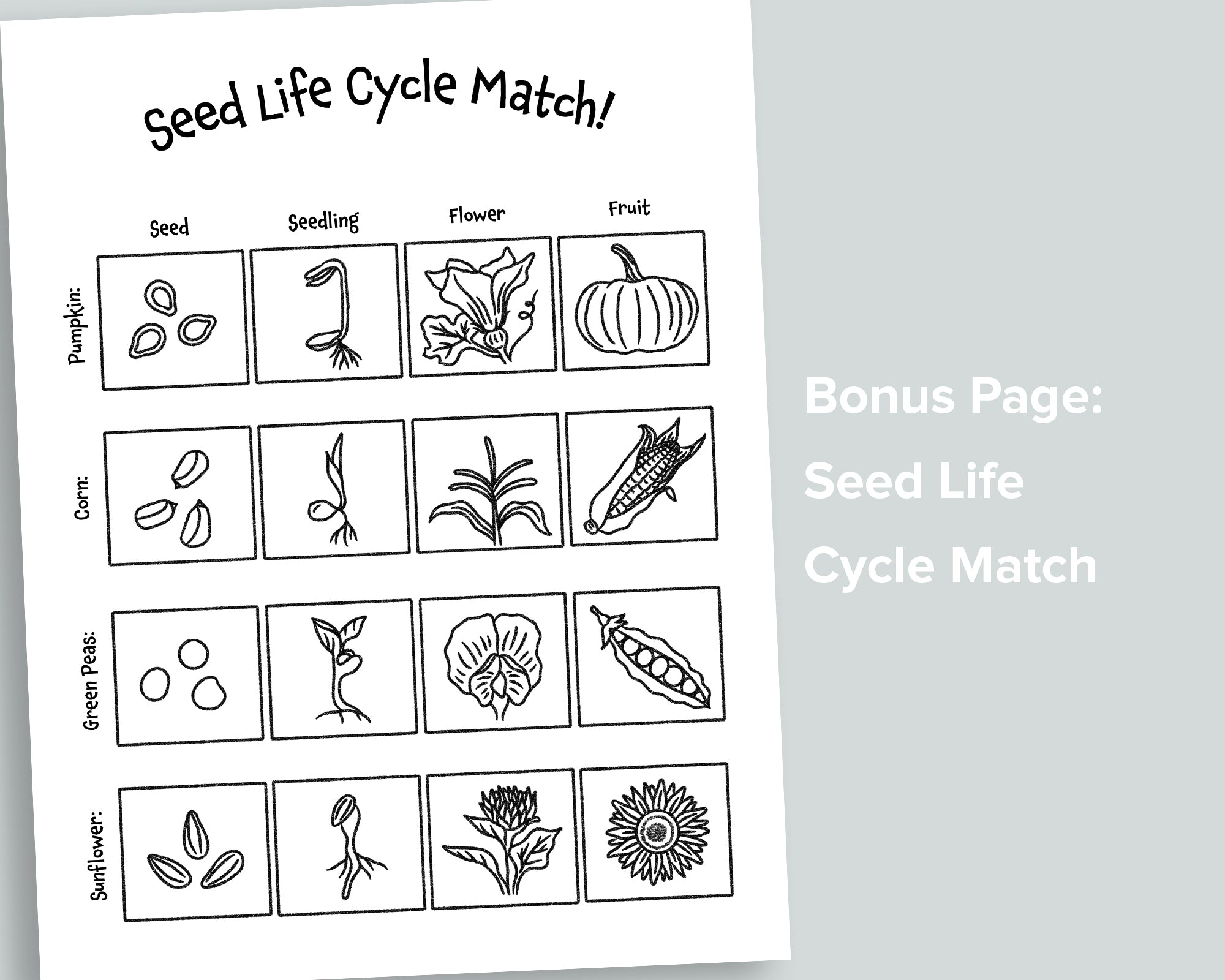 Searching for Seeds Letter Pack