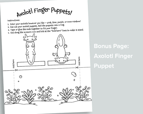 Axolotl Letter Pack