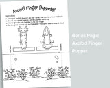 Axolotl Letter Pack