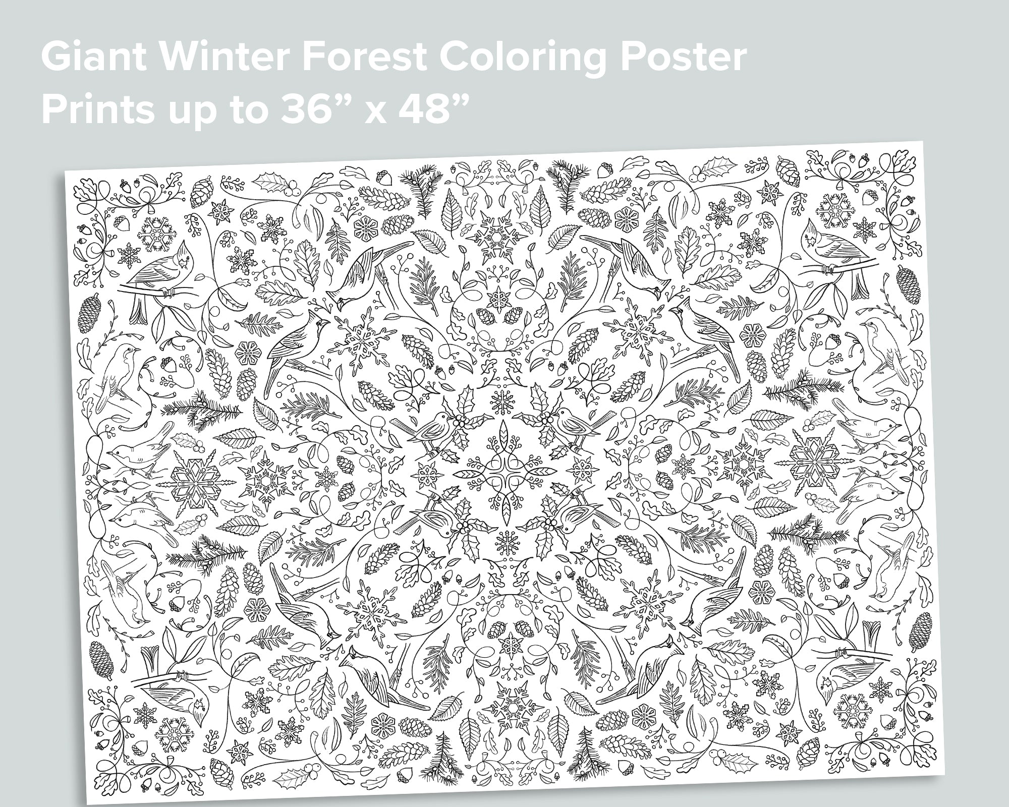 Giant Coloring Poster Collection