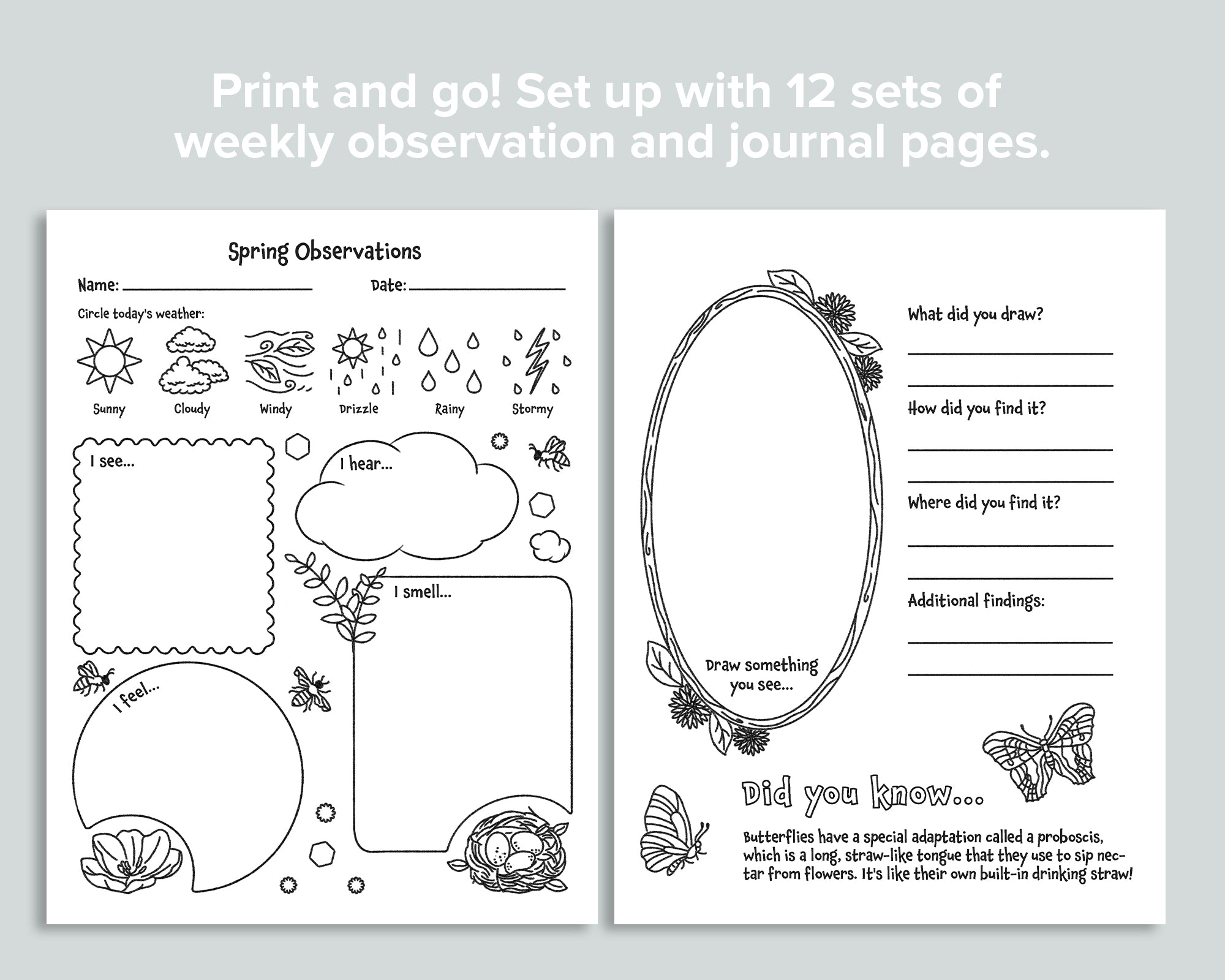 Nature Journals
