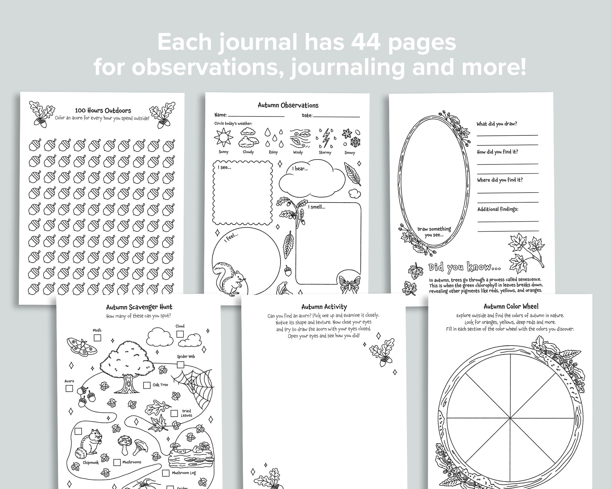 Nature Journals