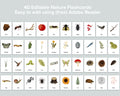 Editable Nature Flashcards (Three Part Cards)