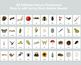 Editable Nature Flashcards (Three Part Cards)