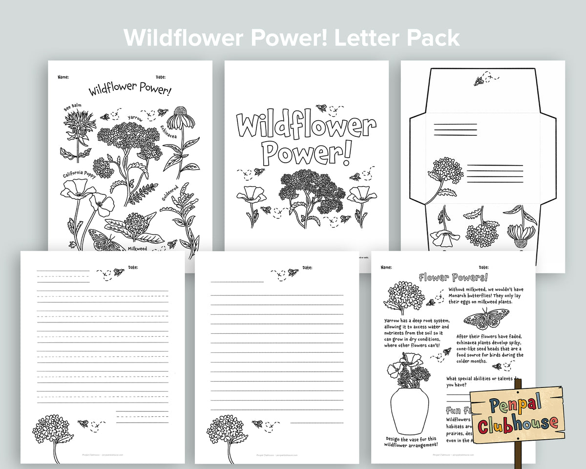 Wildflower Power Letter Pack