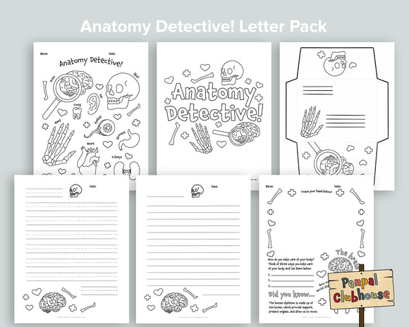 Anatomy Detective Letter Pack