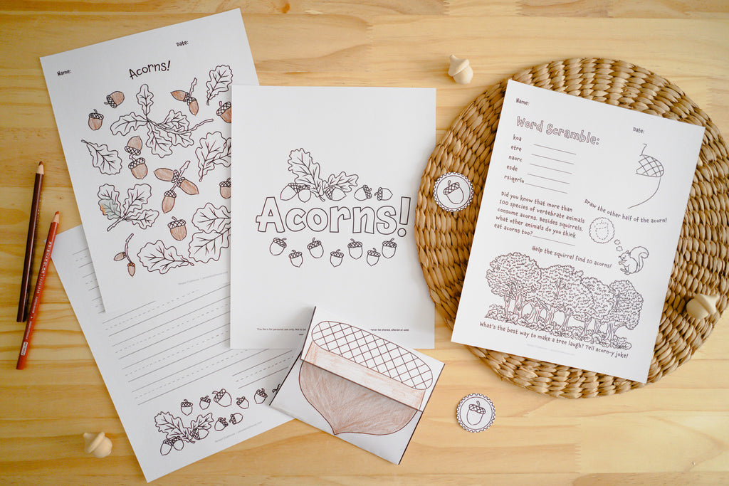 Acorns Letter Pack