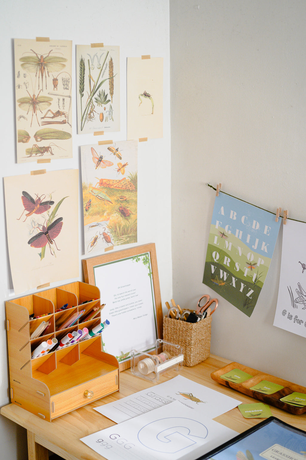 Vintage Nature Prints A-Z