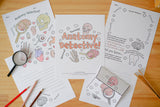Anatomy Detective Letter Pack