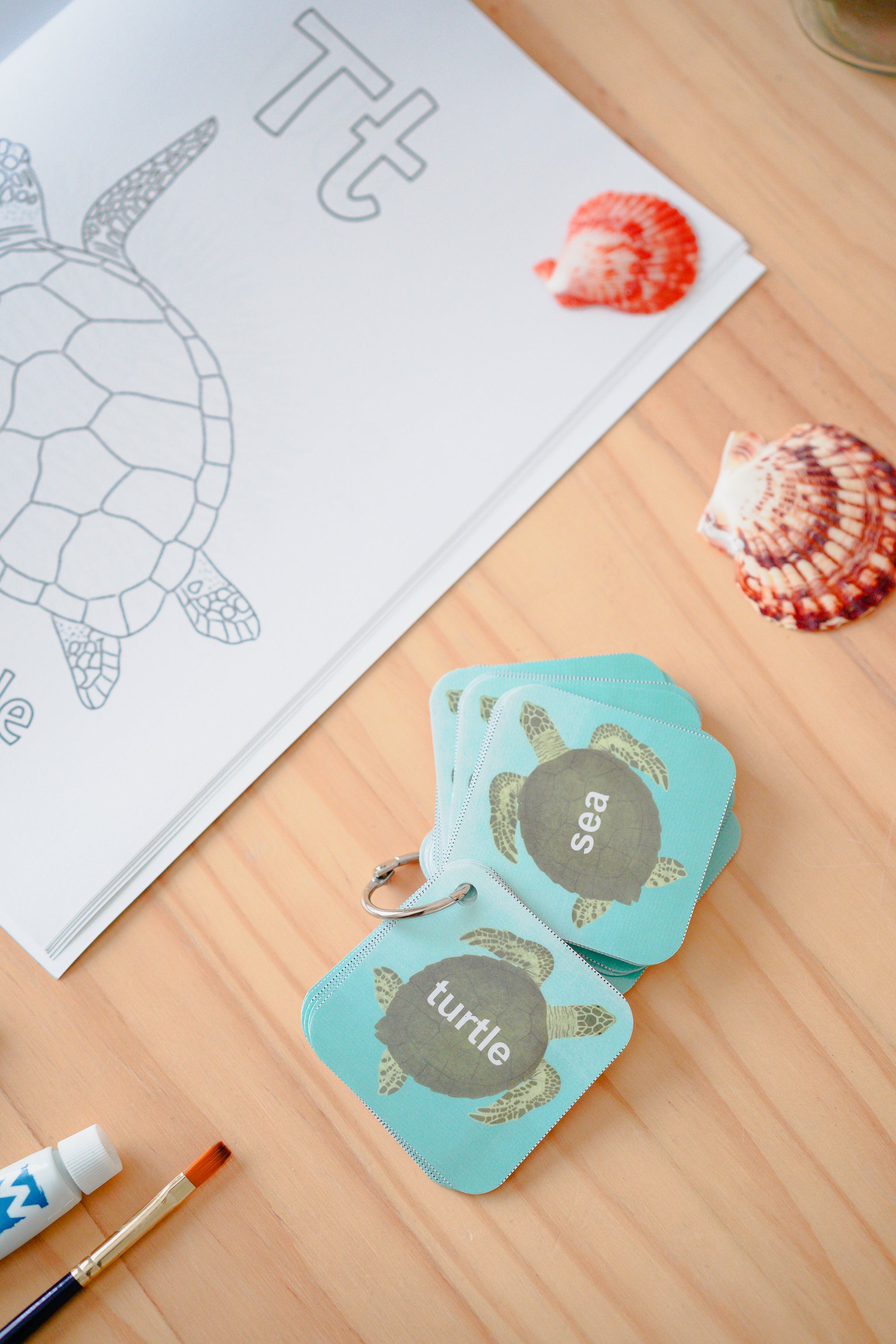 A set of turquoise educational flashcards spelling out sea life words like turtle and sea, displayed on a light wood table next to a coloring sheet, seashells, and a paintbrush.