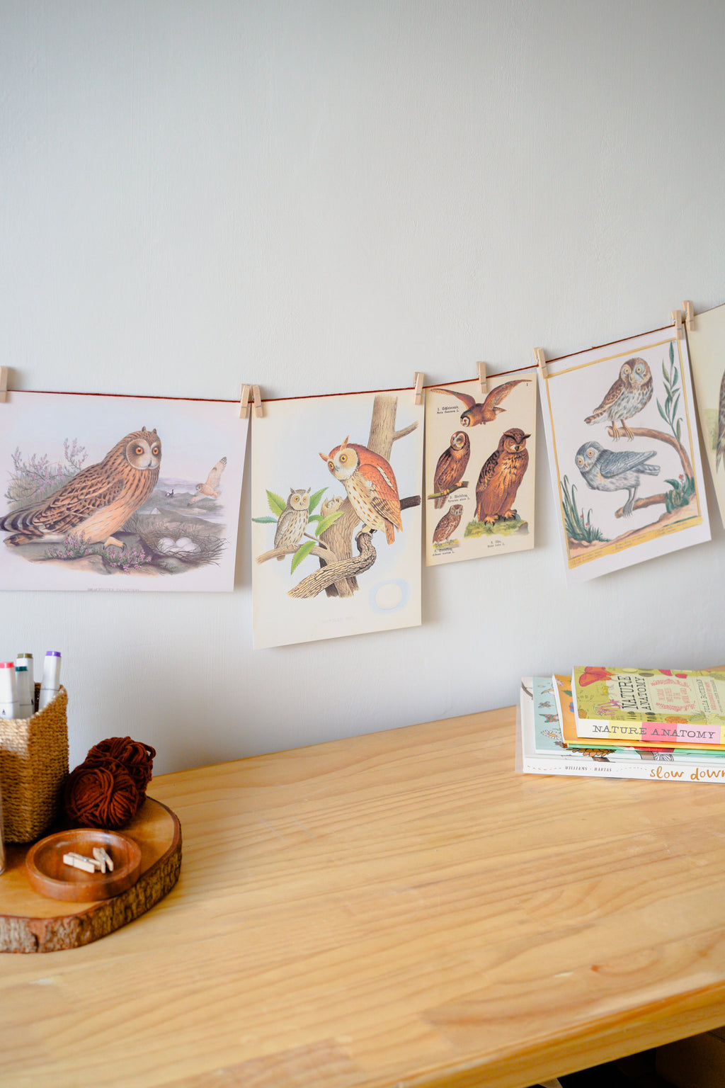 Vintage Nature Prints A-Z