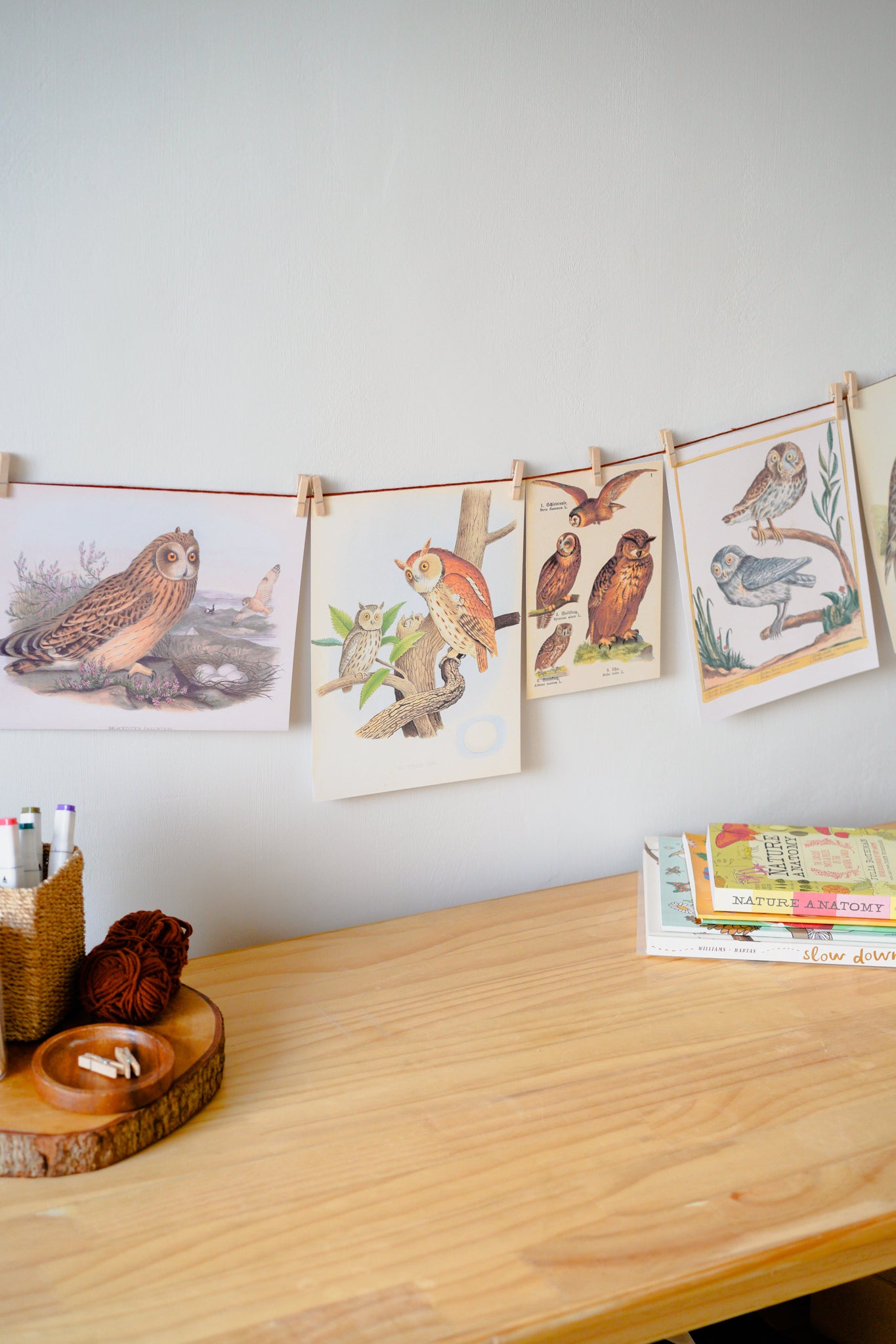 Vintage Nature Prints A-Z