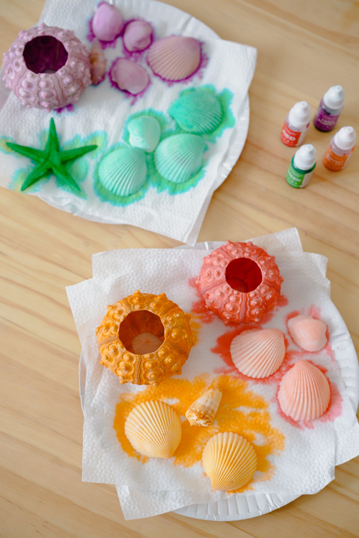 Two paper towel sheets on a light wood surface display colorful sea urchin and shell craft pieces, with small bottles of dye or paint arranged nearby. The scene shows the product in use in a styled flat-lay setup.