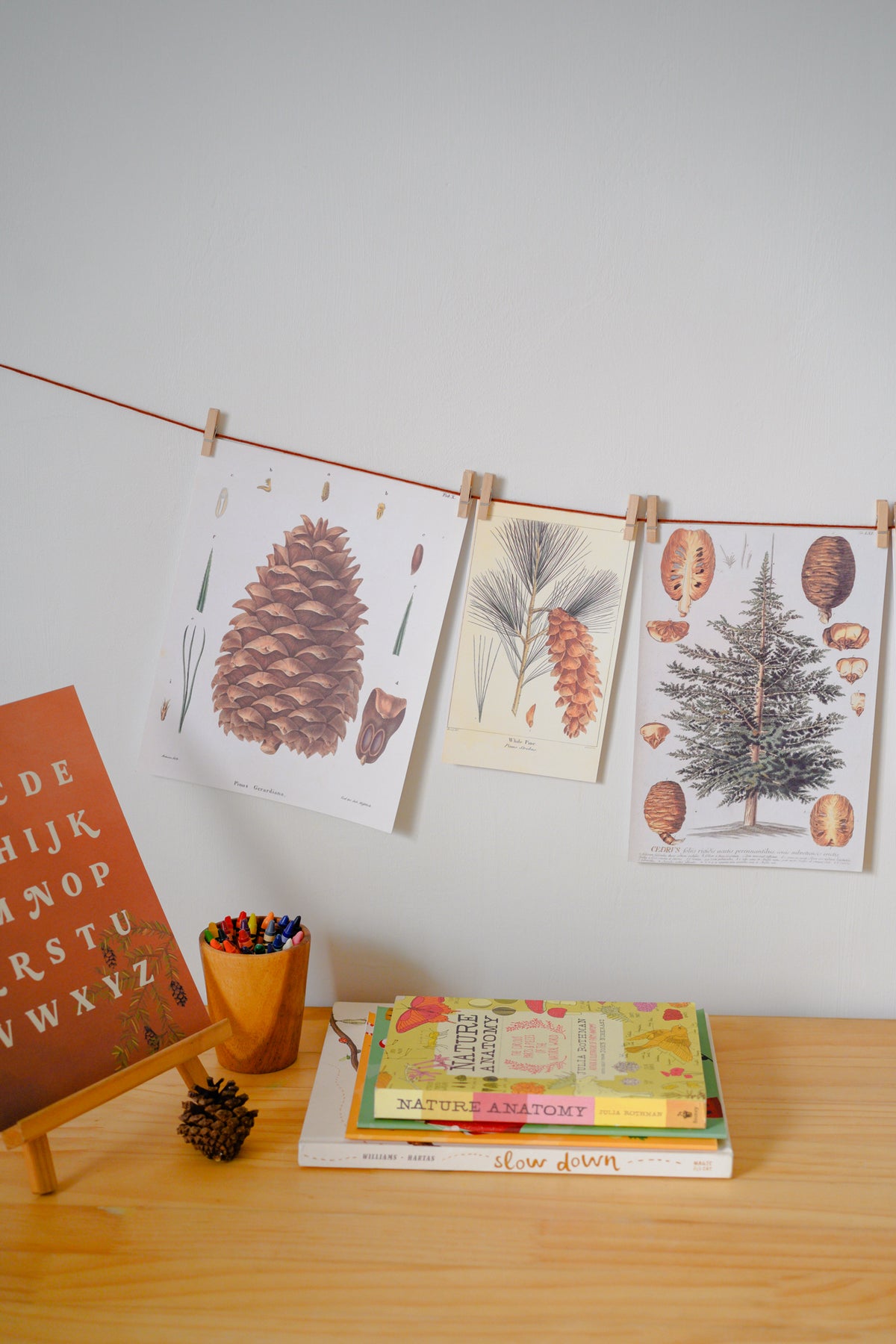 Vintage Nature Prints A-Z