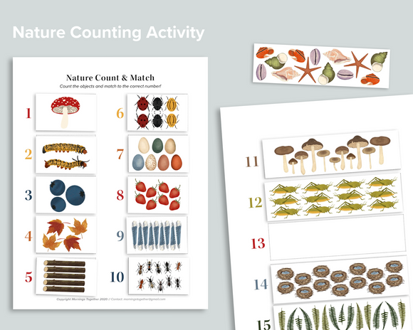 Nature 1-20 Count and Match Activity