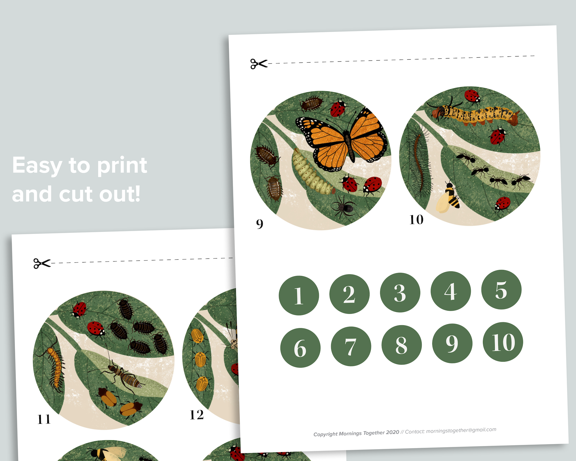 I Spy Bugs! Count and Match Activity