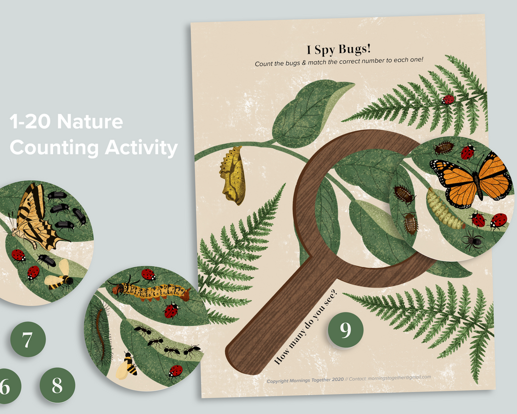 I Spy Bugs! Count and Match Activity