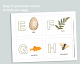 Nature ABC Resin Letter Match
