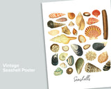 Seashell Mini Bundle