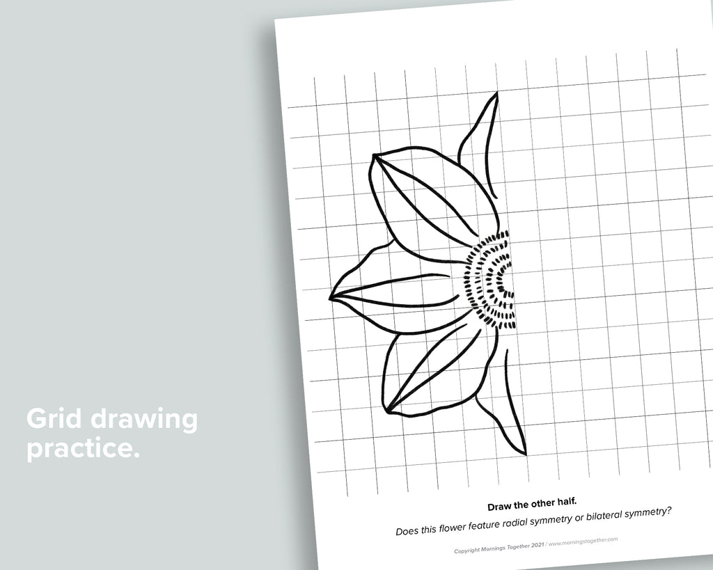 Flower Symmetry Drawing Pages