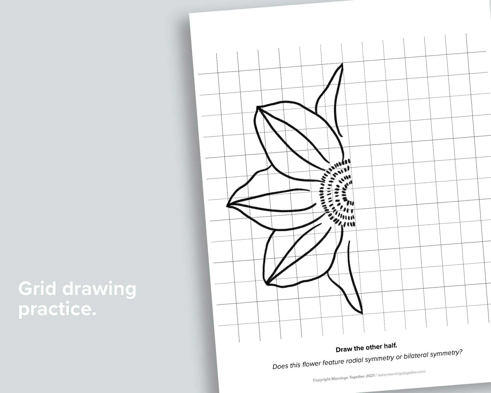 Flower Symmetry Drawing Pages